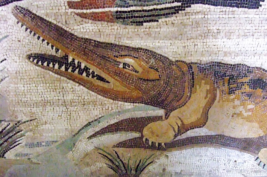 Mosaico romano coccodrillo archeologia Puglia